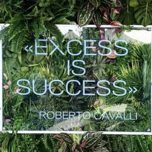 5-just-me-excess-is-success
